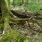 Grö&szlig;ter Schatz_2012.jpg