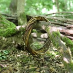  Grö&szlig;ter Schatz 1Z9A2607.jpg