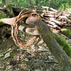 Grö&szlig;ter Schatz_2483.jpg